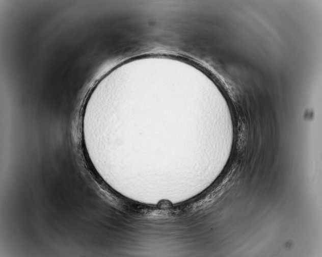 X0000103441367200810101055