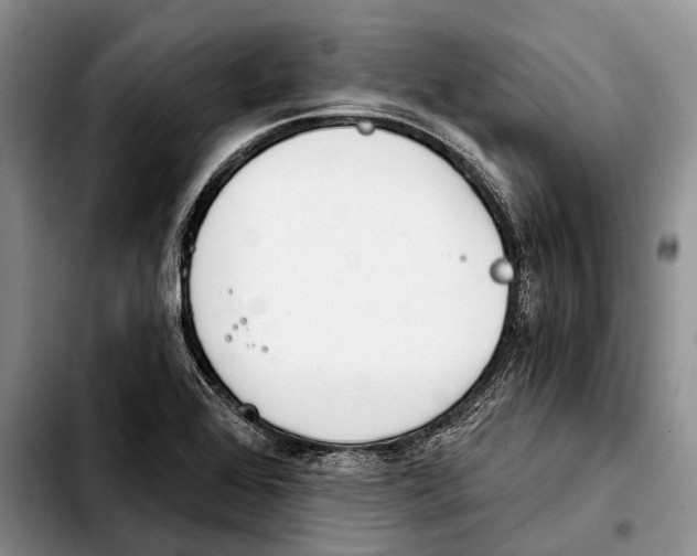 X0000103441368200810101055