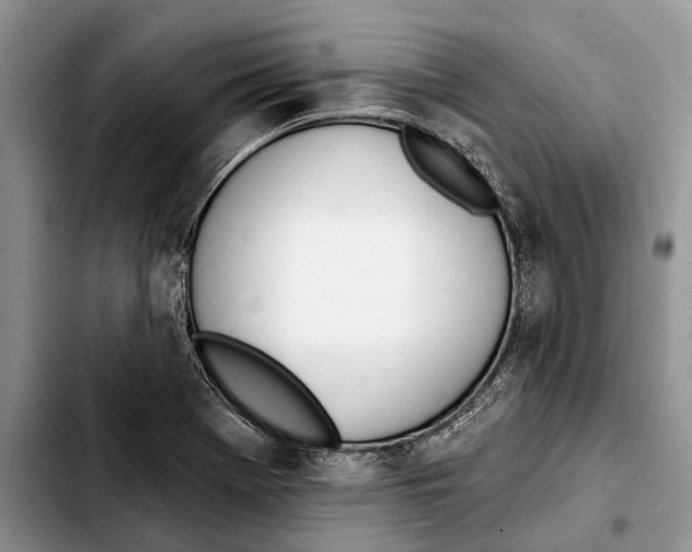 X0000103441369200810101055