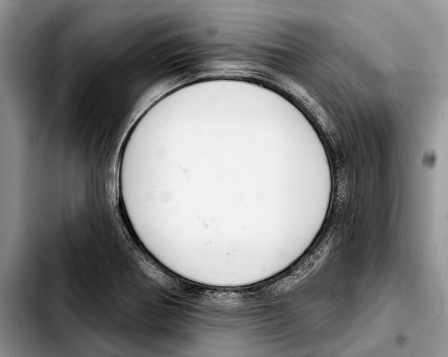 X0000103441370200810101055