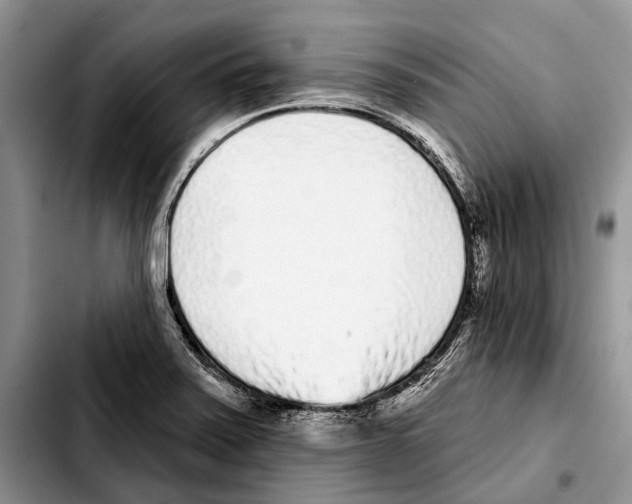 X0000103441371200810101055