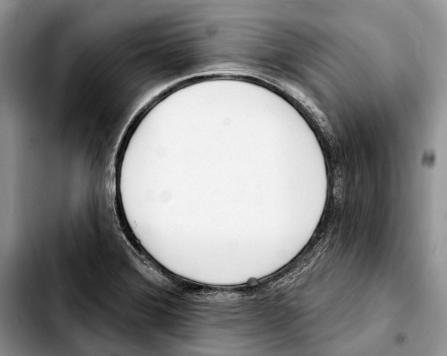 X0000103441372200810101055