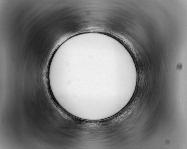 X0000103441373200810101055