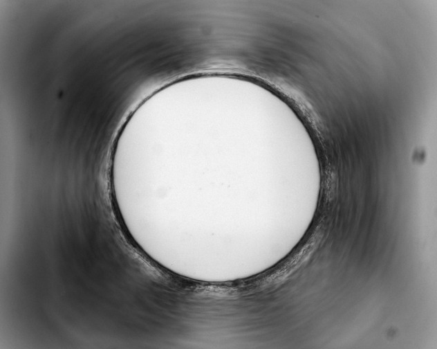 X0000103441374200810101055