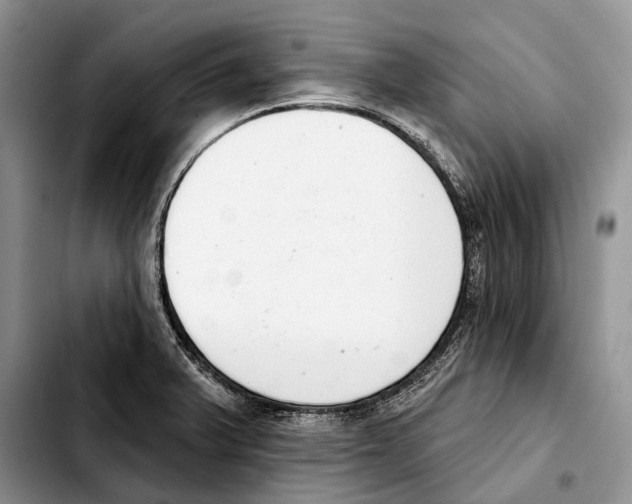 X0000103441375200810101055
