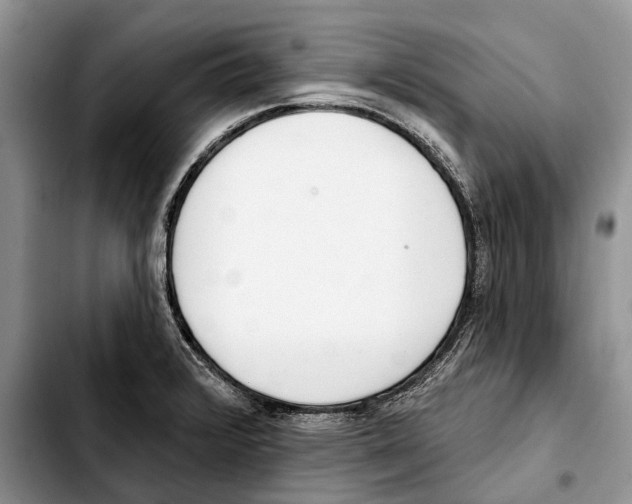 X0000103441376200810101055