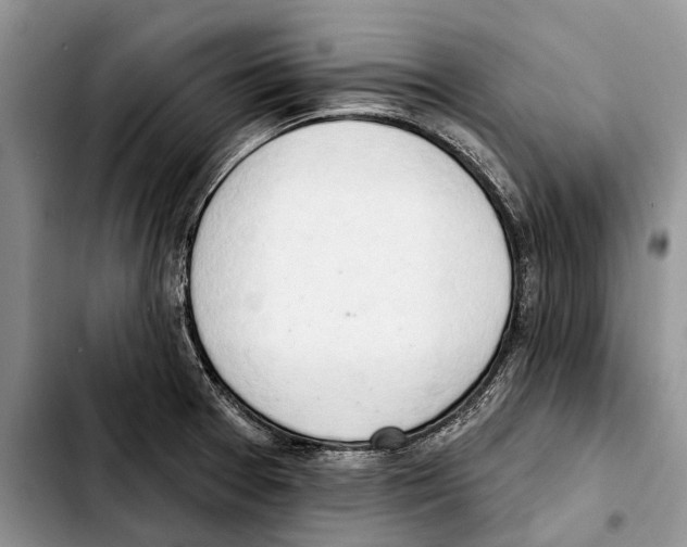 X0000103441377200810101055