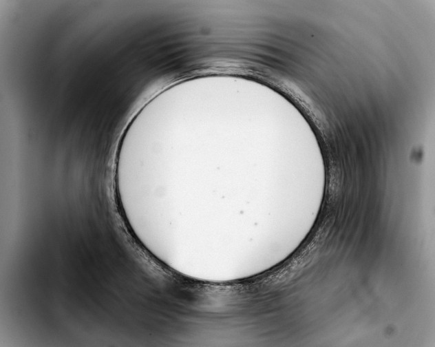 X0000103441378200810101055