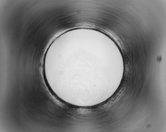 X0000103441379200810101055