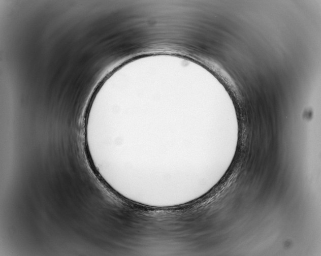 X0000103441380200810101055