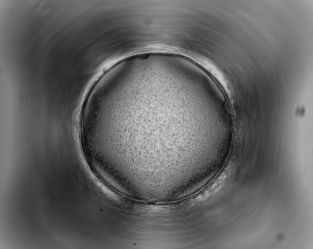 X0000103441381200810101055