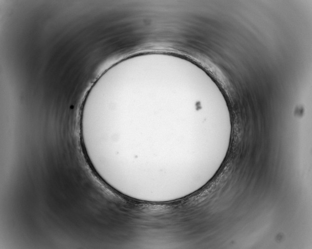 X0000103441382200810101055