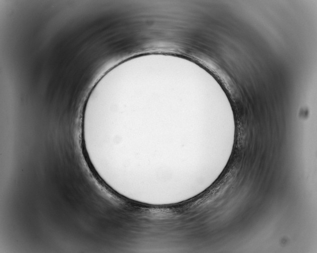 X0000103441383200810101055