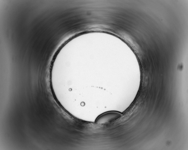 X0000103441384200810101055