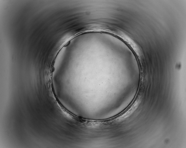 X0000103441385200810101055