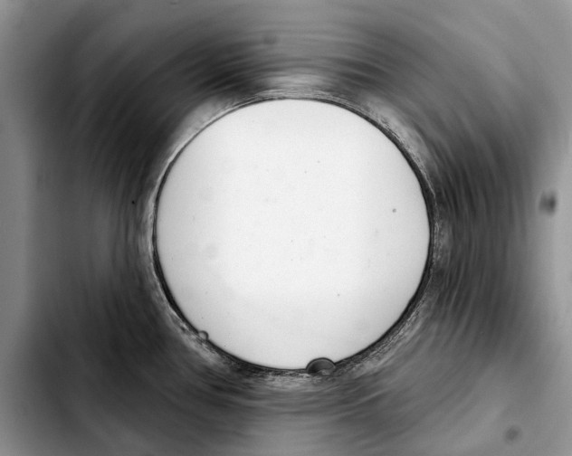 X0000103441386200810101055