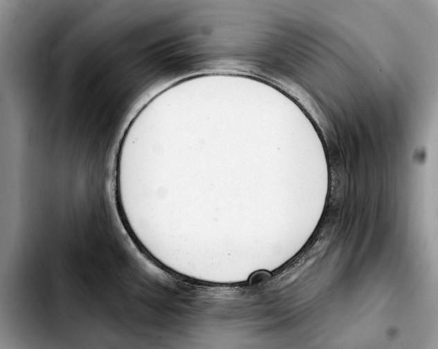 X0000103441387200810101055