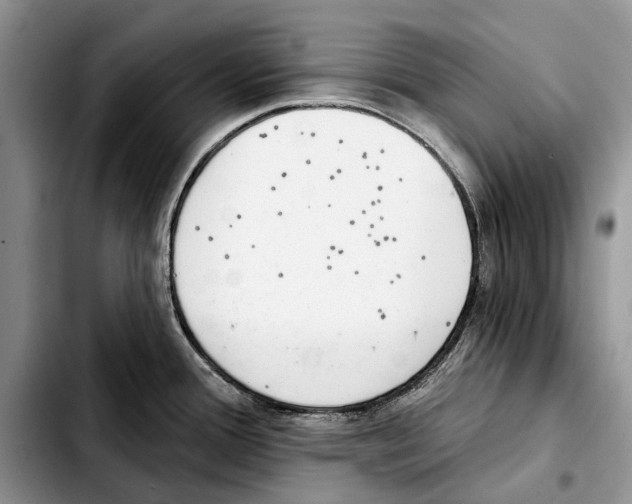 X0000103441388200810101055