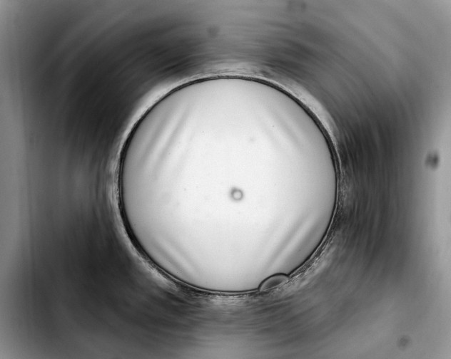 X0000103441389200810101055