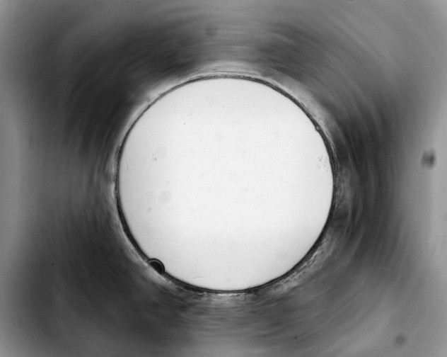 X0000103441390200810101055