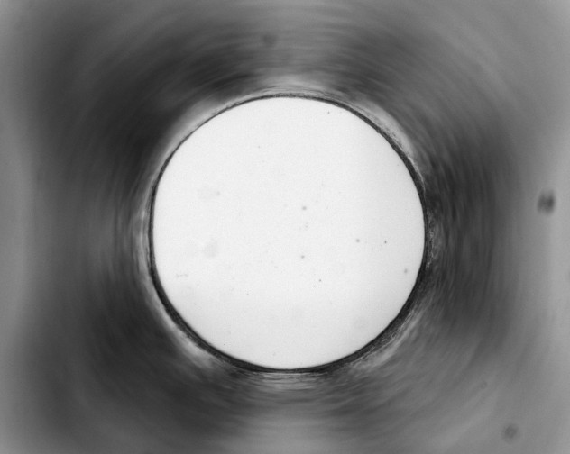 X0000103441391200810101055