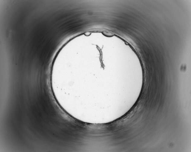 X0000103441392200810101055