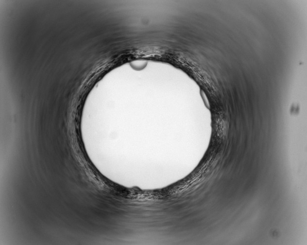 X0000103441393200810101054