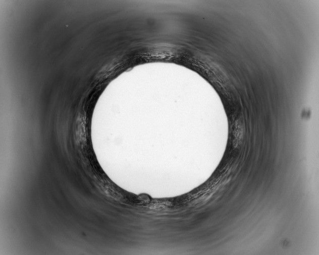 X0000103441394200810101054