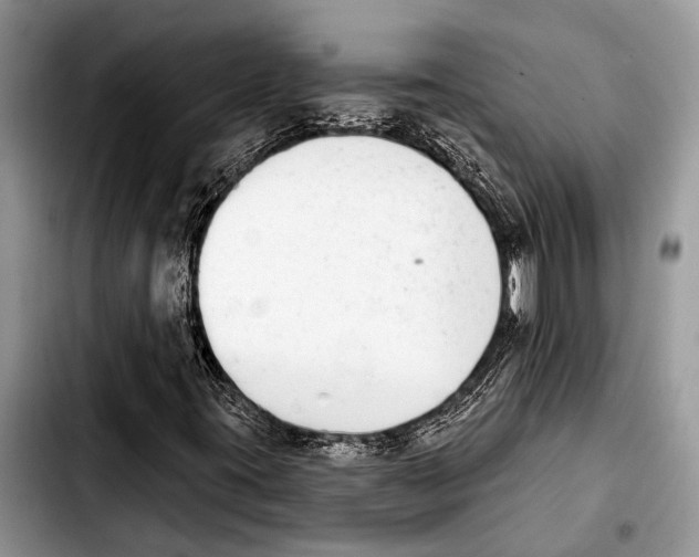 X0000103441395200810101055