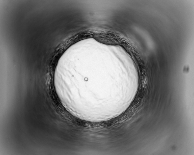 X0000103441397200810101055