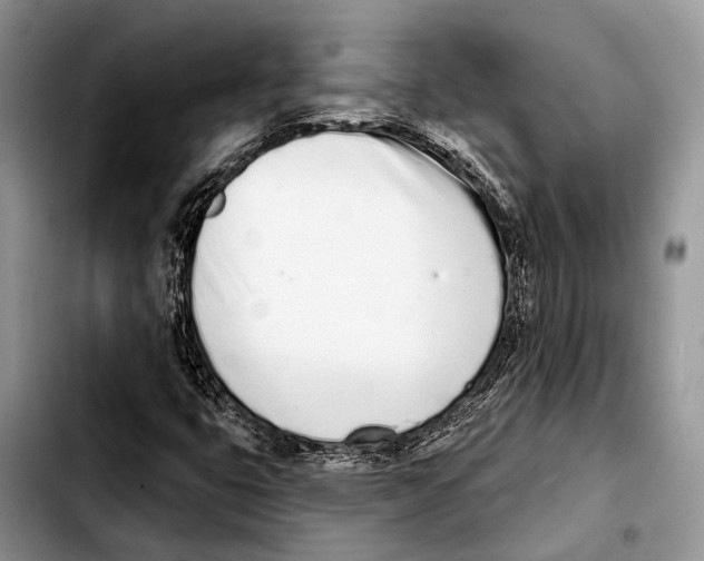 X0000103441399200810101055