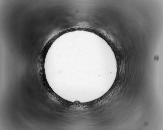 X0000103441400200810101055