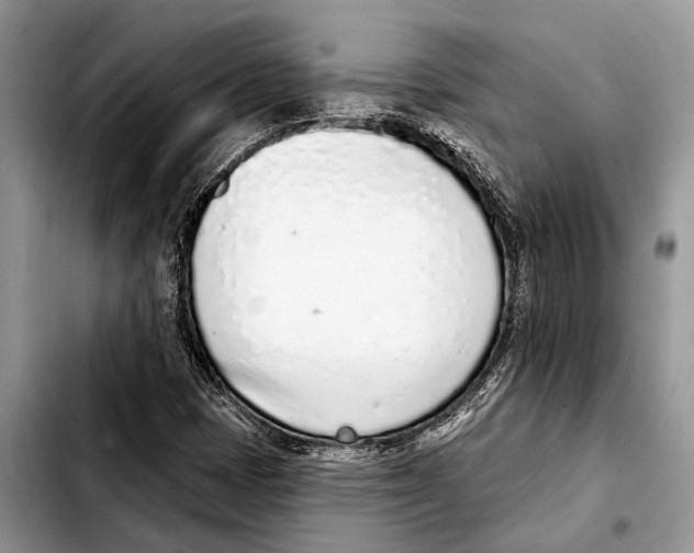 X0000103441401200810101055