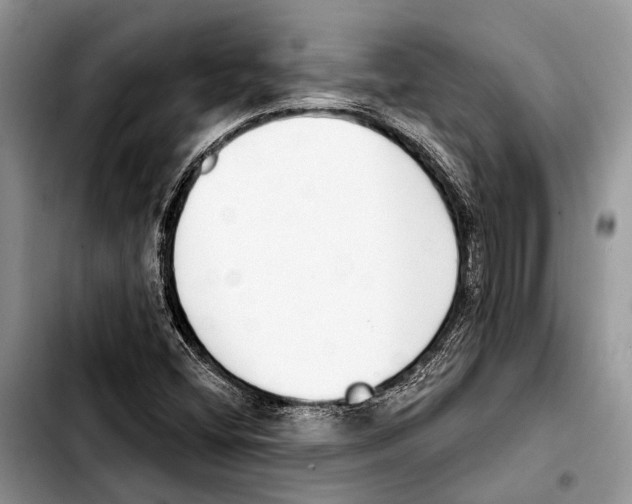 X0000103441404200810101055