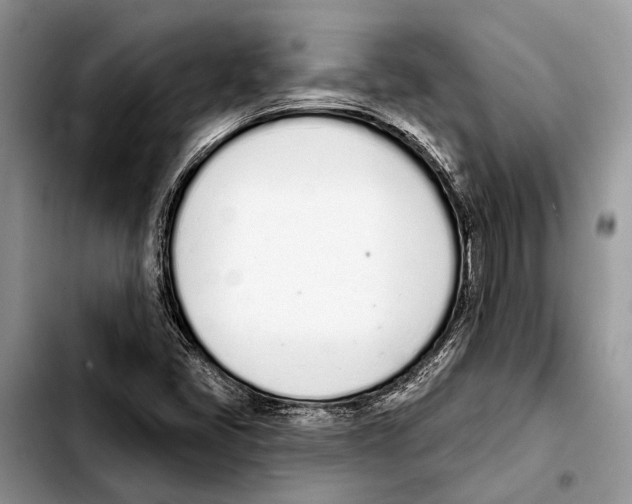 X0000103441405200810101055