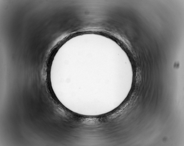 X0000103441406200810101055