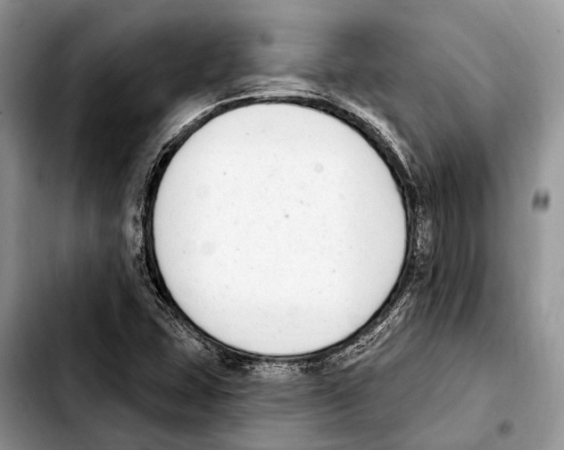 X0000103441407200810101055