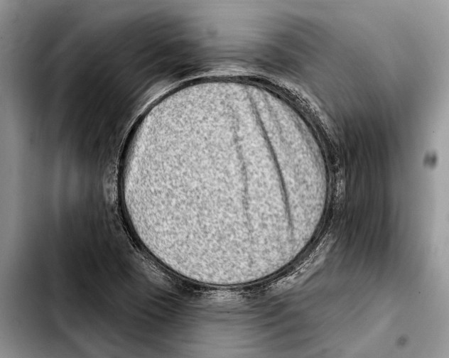 X0000103441409200810101055