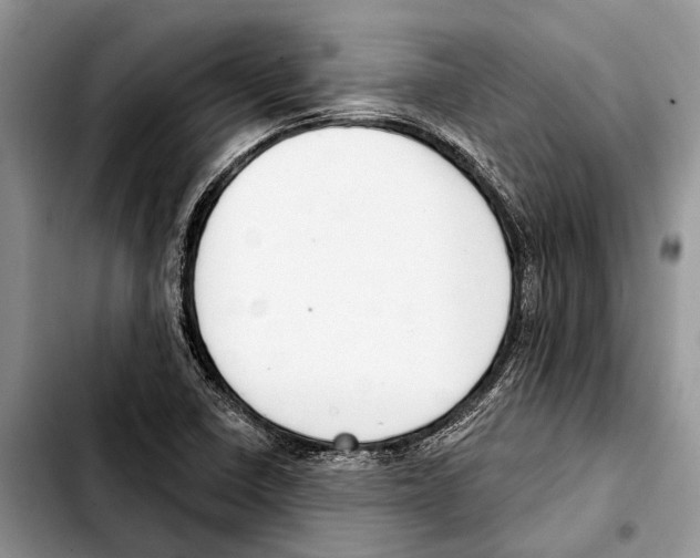 X0000103441410200810101055