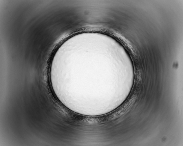 X0000103441411200810101055