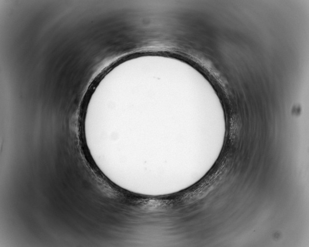 X0000103441412200810101055