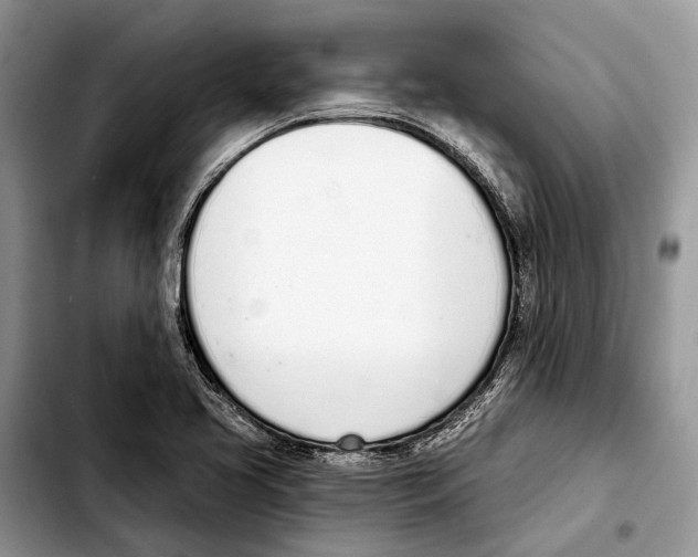 X0000103441413200810101055