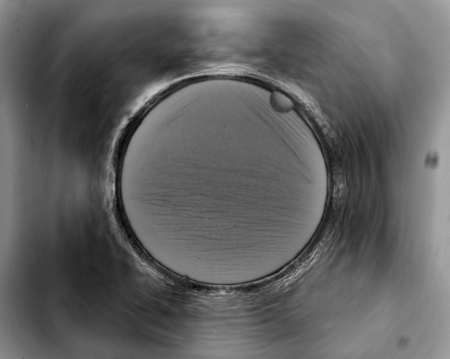 X0000103441414200810101055
