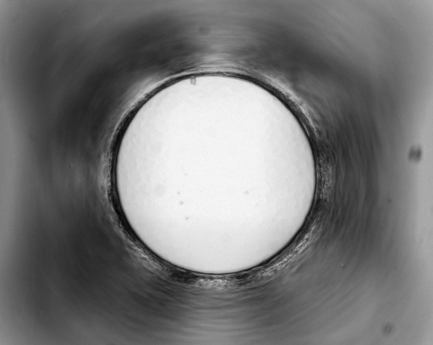 X0000103441415200810101055