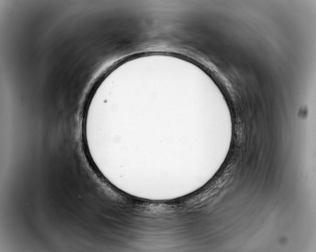 X0000103441416200810101055