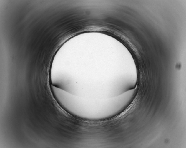X0000103441417200810101055