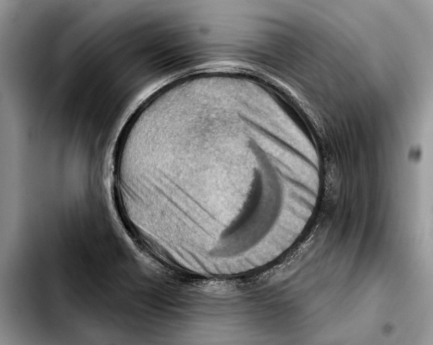 X0000103441418200810101055