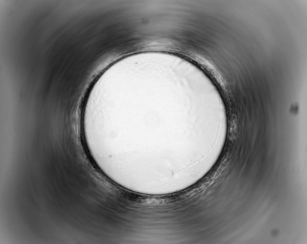 X0000103441419200810101055