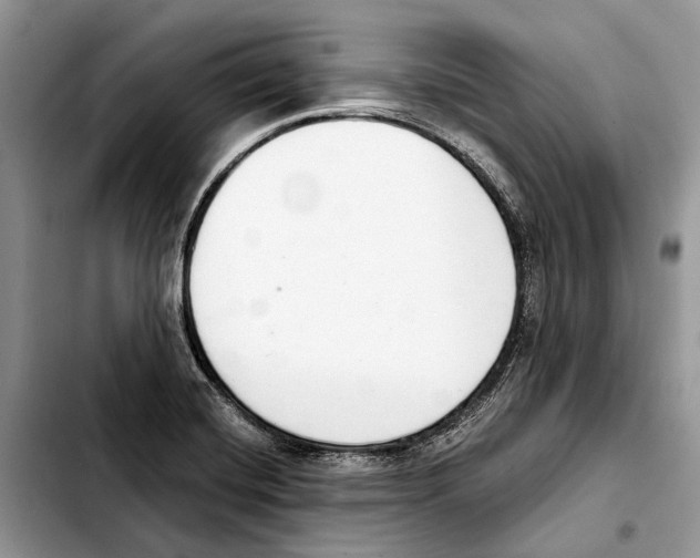 X0000103441420200810101055