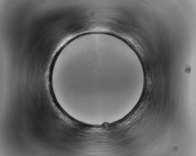 X0000103441422200810101055